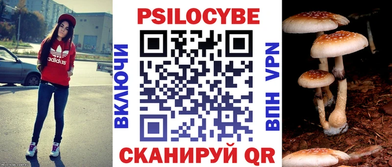 Псилоцибиновые грибы Psilocybine cubensis  Купить где  Верещагино 