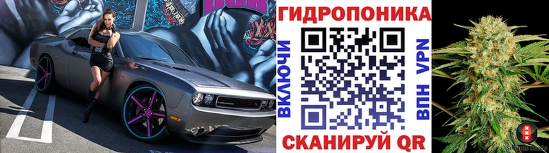Бошки Шишки план  Купить  Верещагино 
